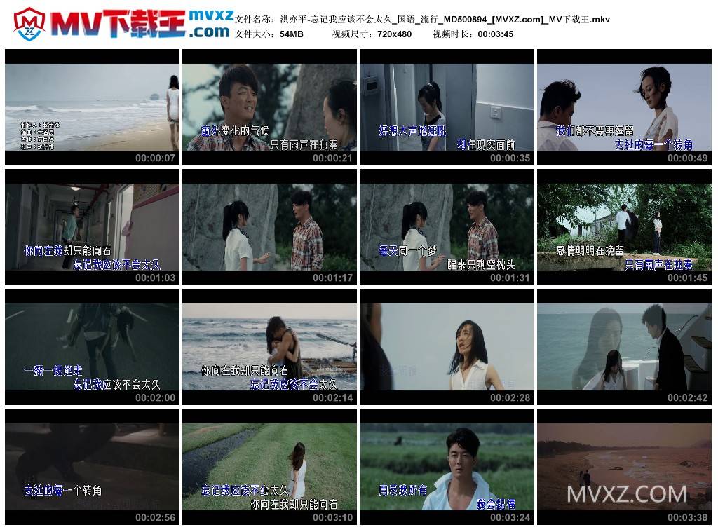 洪亦平-忘记我应该不会太久_国语_流行_MD500894
